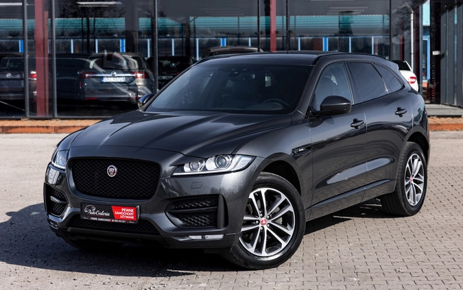 śląskie Jaguar F-Pace cena 126900 przebieg: 125933, rok produkcji 2019 z Gogolin